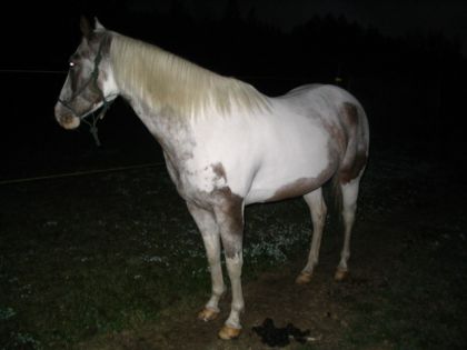 le grosse pinotte dans le noir encore :)!