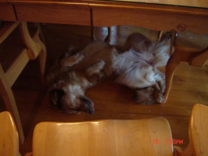Ouf!  Après une grosse journée... On relax!