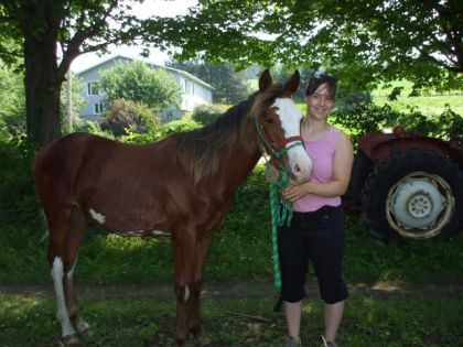 Moi et mon poulain Tango 11 mois