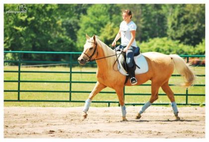 Mon cheval monter en classique par maude ! 