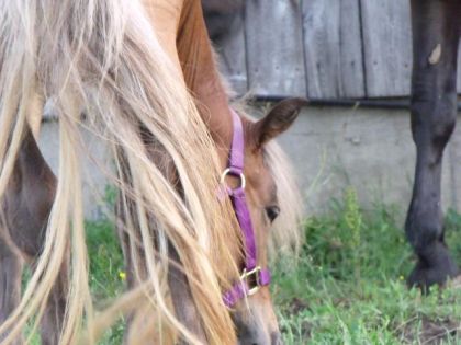 hihi petite photo concept :)