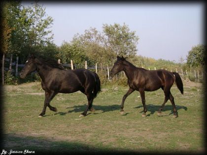 mimi et nara juste pour voir la différence de gabari entre moman...