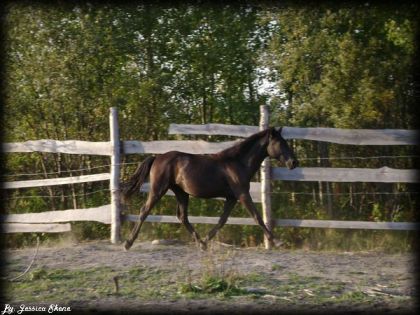 sonara et son ptit trot fancy :P