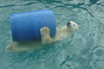 le gros Nounours qui s'amuse!