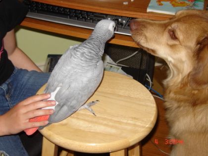 encore un bisou!