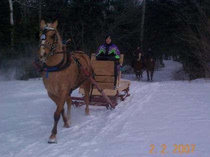 Mon beau cowboy et son cheval Gringo.