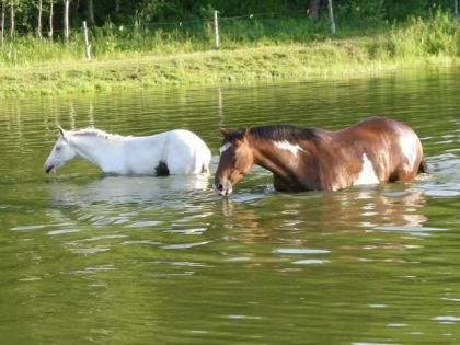 C'est l'été, le temps de prendre un bain!