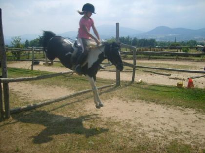 Galice (l)