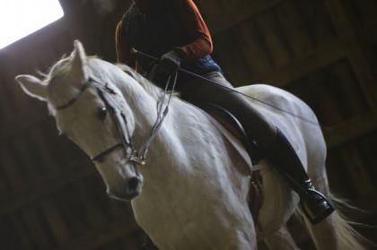 Zodiaque en dressage ,trop mignon !