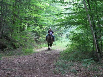 moi qui monte la premiere cote je ne suis pas trop presser