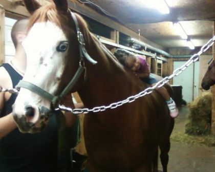 Rosalie et Peach