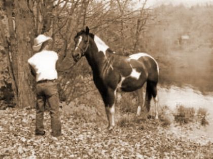 Un petit montage pour un super cowboy très motivé... ;-)
