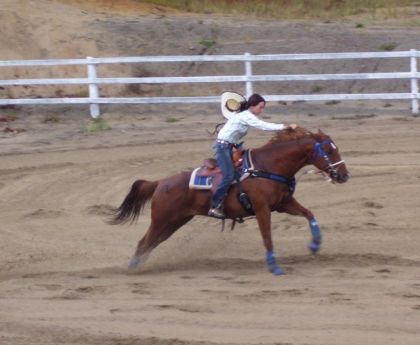 moi et élite !! mon cheval y commence a marcher pis a se faire...
