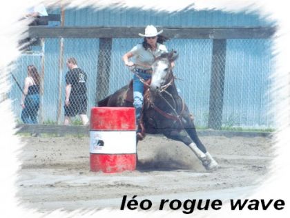 moi et leo rogue wave