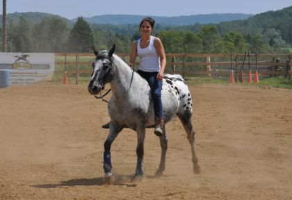 Moi et mon gros bébé avant le début des compétition ! ( L ) (...