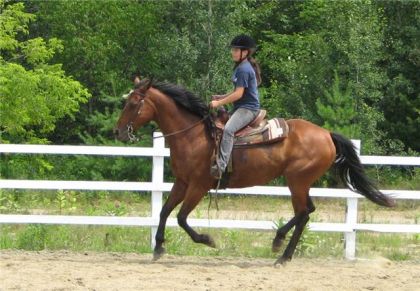 moi sur bonji au galop