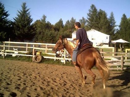 Luc et Ata Boy, notre nouveau cheval. Malheureusement pour moi,...
