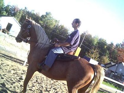 Notre nouveau cheval et moi. Il s'appelle Ata Boy.