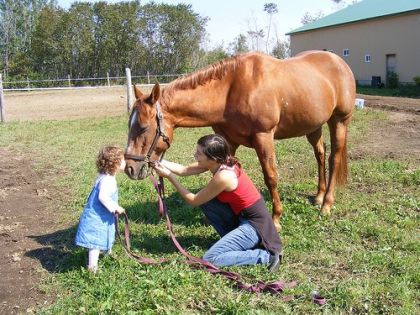Ponyta, la petite Lily (qui voyait un cheval pour la première...