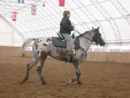Moi et Fancy dans mes cour d'équitation l'an passer.