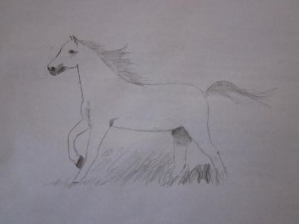 Cheval arabe. Je sais la tête aurait pu être mieux! Commentaires?