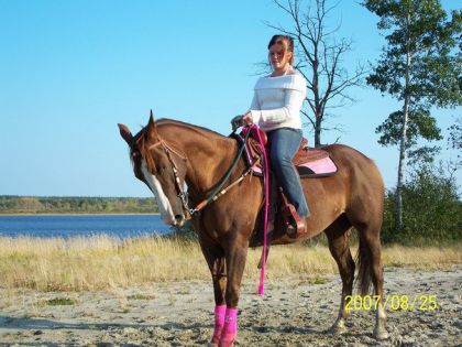 lady belle