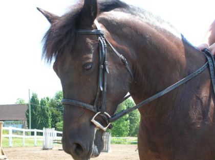 Ma belle ponette ! J'adore cette photo ! 
