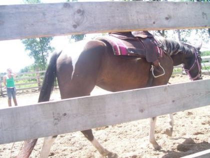 Belles fesses musclées!