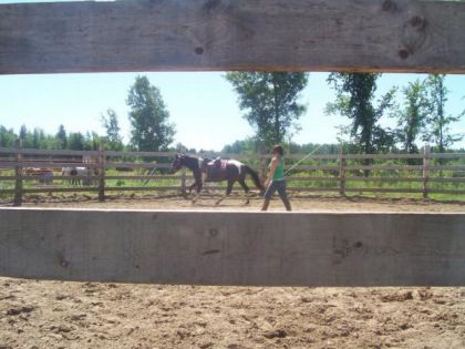 Un beau canter ... 