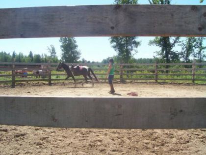 Un beau trot régulier et ni trop rapide, ni trop lent!