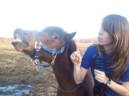 Flehmen sur demande (: