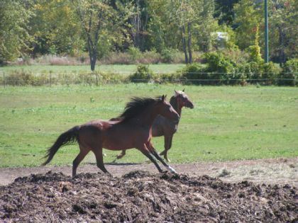 photo par josee34