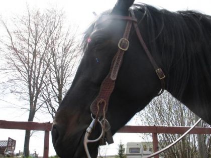 photo par Capt°Horse