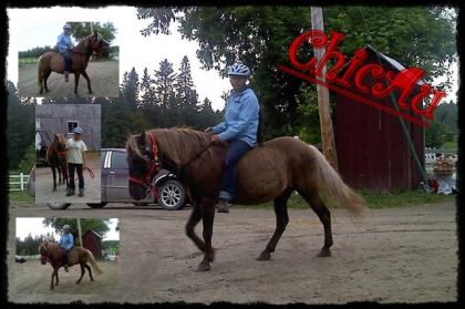 montage de moi et mon tit proute 