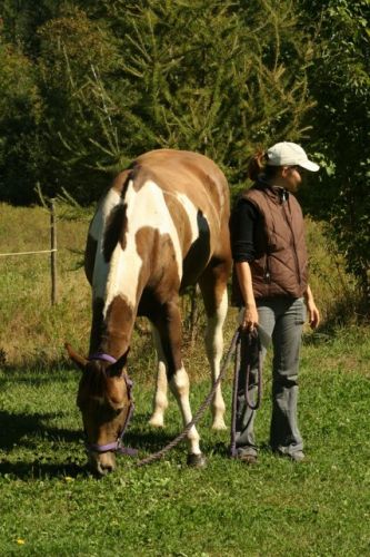 Moi et Seven (par Zoom)