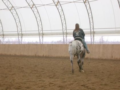 Une autre photo de moi et  Fancy dans mes cour d'équitation.