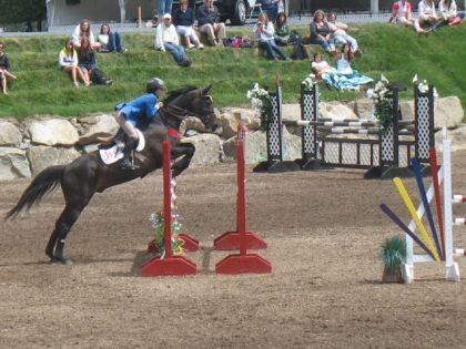 Beau oxer : ) 