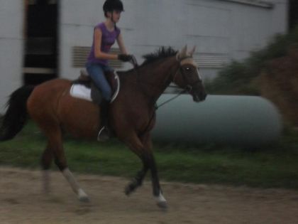 au galop! désolé la photo est flou... prise de soir XD