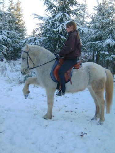 J'aime cette photo :) Hiver 2010 Fanny & 0rci !