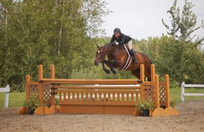 Moi et Elliot. International Bromont wk 1 2010, Working combined...