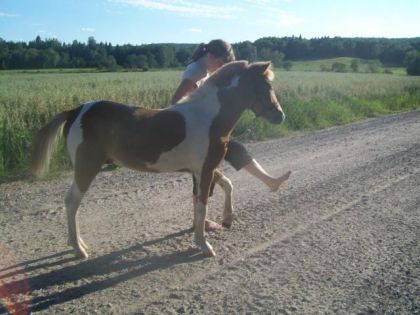 Mon poulain fais la jambette(photo prise au mauvais moment)