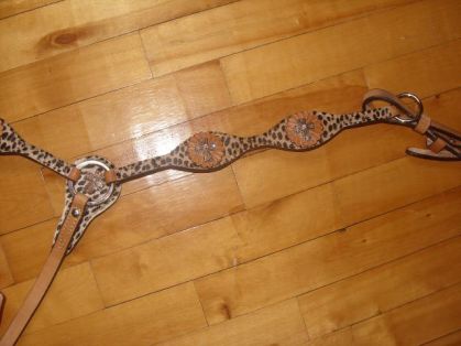 mon neww kit leopard :) 