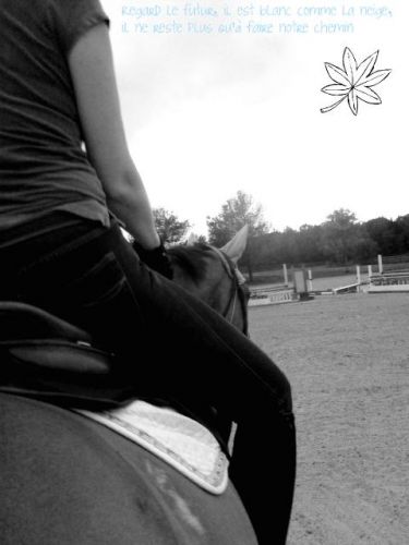 petite photo "artistique prise par moi!  model : ma maman et Bilo