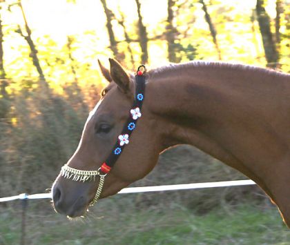 photo par picapau