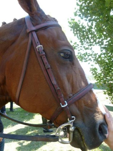 Satine :)