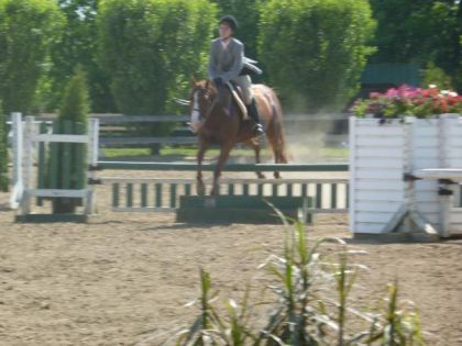 Concours Vallée-des-Bois