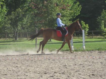 moi et peg au galop c'est quoi qu'il a a améliorer?