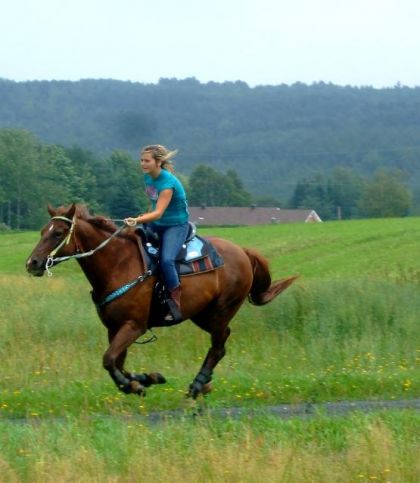 Encore mon Bronco que j'adooooore :)