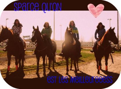 sparske quon est les meilleurs 