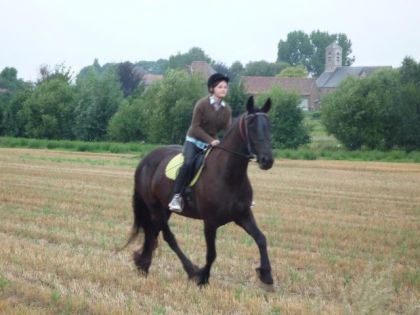 Trot allonger dans un champs de blé :-)